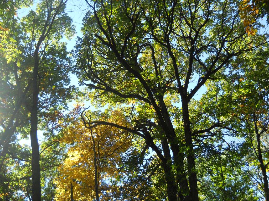 Our purpose here. .&nbsp;.